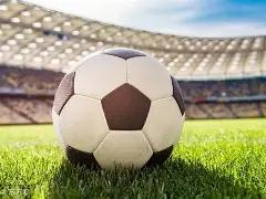 德国队以,大胜北爱尔,锁定小组第,买球平台哪个好,买球平台官方网站,买球好平台网站,世俱杯买球平台