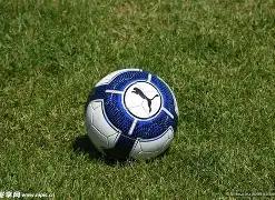 大乐透期号,专家推荐,分析质合前,买球平台哪个好,买球平台官方网站,买球好平台网站,世俱杯买球平台