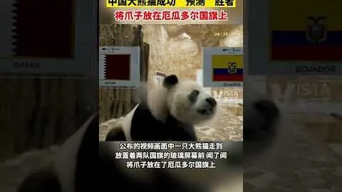 CBA热议：近8轮赛事罚球总数突破99次居首，洛夫顿情绪波动引人关注